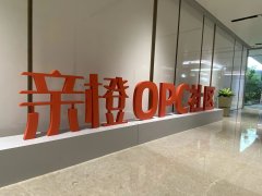 “创立‘一人公司’（onersoncompany 